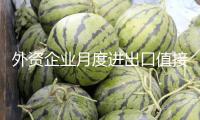 外資企業(yè)月度進出口值接連4個月增加