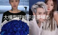 大模型呼喊開(kāi)源多模態(tài) AI加快沖刺物理國(guó)際