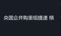 央國企并購重組提速 橫向整組成干流趨勢