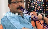 央企控股上市公司回購增持進(jìn)度條繼續(xù)改寫