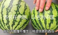 多名在伊朗、以色列中國人向《環(huán)球時報》敘述撤離進(jìn)程：“同胞們互相照顧，心里很結(jié)壯”
