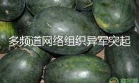 多頻道網(wǎng)絡(luò)組織異軍突起 怎樣避坑？怎么長效？