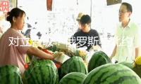 對(duì)立晉級(jí)？俄羅斯與北約在波羅的?！霸┘衣氛?專家：并非偶然