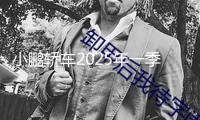 小鵬轎車2025年一季度虧本收窄營(yíng)收增加
