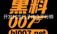 開發(fā)村莊日子體會不行蜂擁而至