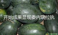 開始成果顯現(xiàn)委內(nèi)瑞拉執(zhí)政黨在議會(huì)選舉中取勝