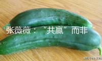 張薇薇：“共贏”而非“獨贏”，事關(guān)全球科技合作未來