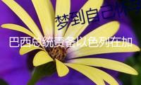 巴西總統(tǒng)責(zé)備以色列在加沙進(jìn)行“有預(yù)謀的種族滅絕”