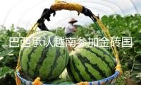 巴西承認越南參加金磚國家協(xié)作機制成為伙伴國