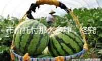 市價托付那么多種，終究怎樣用？