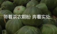 帶著茶農(nóng)期盼 奔著實處造訪（鍥而不舍執(zhí)行中心八項規(guī)則精力·一線見識）