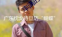 廣東枕戈待旦防“蝴蝶”