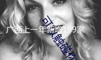 廣西上一年新增199家商會調(diào)停安排