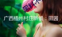 廣西梧州村莊新景：田園鐵路相映 勾勒和美畫卷