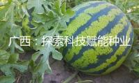 廣西：探索科技賦能種業(yè)振興新路徑