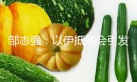 鄒志強(qiáng)：以伊抵觸會(huì)引發(fā)一場(chǎng)石油危機(jī)嗎？