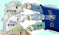 重慶：網(wǎng)傳“撤除菜園壩火車站未清出睡在里邊的流浪者”系流言