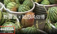 野獸派 x 姑蘇風(fēng)俗博物館