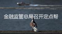 金融監(jiān)管總局召開(kāi)定點(diǎn)幫扶工作領(lǐng)導(dǎo)小組會(huì)議
