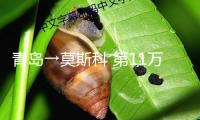 青島→莫斯科 第11萬列中歐班列“超級貨柜”今天發(fā)車