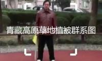 青藏高原草地植被群系圖發(fā)布