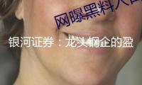 銀河證券：龍頭鋼企的盈余才能和估值有望迎來修正