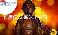 長度僅1.8厘米！中國南方初次發(fā)現(xiàn)白堊紀哺乳形類腳印