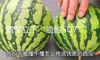 雷軍立下“逾越SU7”軍令狀 小米YU7如安在競(jìng)賽中發(fā)明奇觀
