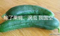 除了果蠅、渦蟲 我國(guó)空間站還有哪些“動(dòng)物航天員”