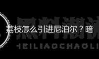荔枝怎么引進尼泊爾？暗碼藏在一杯酸奶里