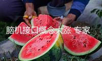 腦機接口概念大漲 專家：工業(yè)有望迎來迸發(fā)期