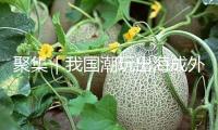 聚集｜我國(guó)潮玩出海成外貿(mào)新風(fēng)口
