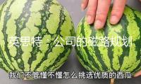 英思特：公司的磁路規(guī)劃旨在最大極限地協(xié)助客戶節(jié)省本錢