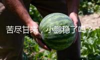苦盡甘來，小鵬穩(wěn)了嗎？