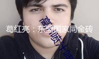 葛紅亮：東盟國(guó)家同金磚協(xié)作有三大邏輯