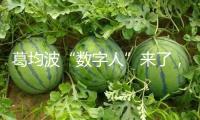 葛均波“數(shù)字人”來了，還帶山東口音！AI醫(yī)生離治病還遠(yuǎn)嗎？