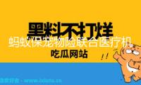 螞蟻保寵物險聯(lián)合醫(yī)療機構(gòu)發(fā)布治療標(biāo)準(zhǔn)：讓寵物治病少花冤枉錢