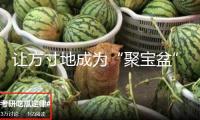 讓方寸地成為“聚寶盆”