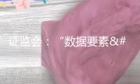證監(jiān)會：“數(shù)據(jù)要素×”大賽金融服務(wù)范疇賽道環(huán)繞四個(gè)賽題