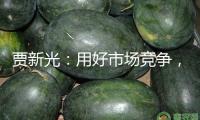 賈新光：用好市場競爭，推動(dòng)汽車行業(yè)技術(shù)進(jìn)步