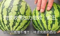 財(cái)政政策加力增效　前五月要點(diǎn)范疇開銷持續(xù)增長