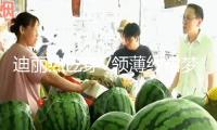 迪麗熱巴穿V領(lǐng)薄紗裙夢(mèng)境唯美 宛如花仙子美貌養(yǎng)眼