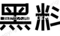 越野技術(shù)滿配 試駕2025款哈弗猛龍燃油版