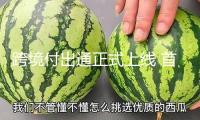 跨境付出通正式上線 首筆事務(wù)落地深圳