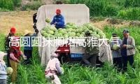 高圓圓抹胸裙高雅大氣 肌膚潔白潤滑女神范兒十足
