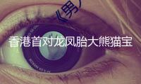 香港首對龍鳳胎大熊貓寶寶有姓名啦！