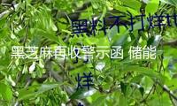 黑芝麻再收警示函 儲(chǔ)能“夢(mèng)空”反構(gòu)成資金占用