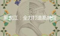 黑龍江：全力打造高端智能農機配備工業(yè)集群 盡力進入全國榜首方陣