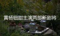 黃楊鈿甜主演兩部新劇將開播，天價耳環(huán)相關(guān)疑問咋還沒定論