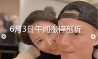 6月3日午間漲停剖析